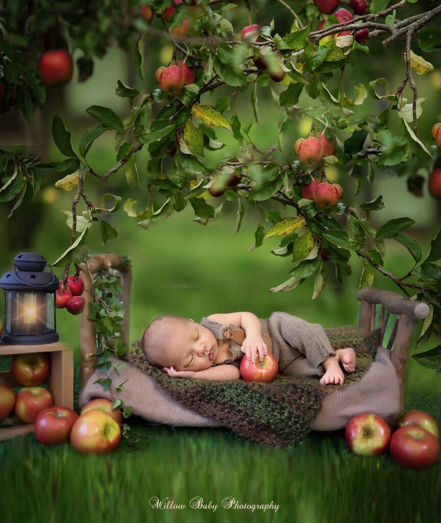 new baby under apple tree